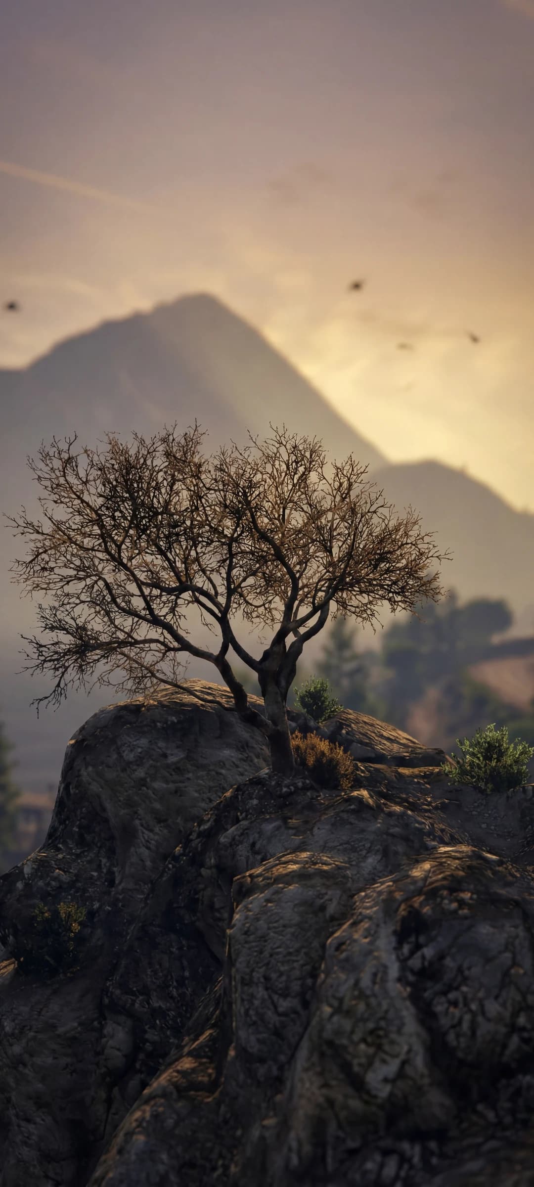 Grand Theft Auto V: Sunset Road