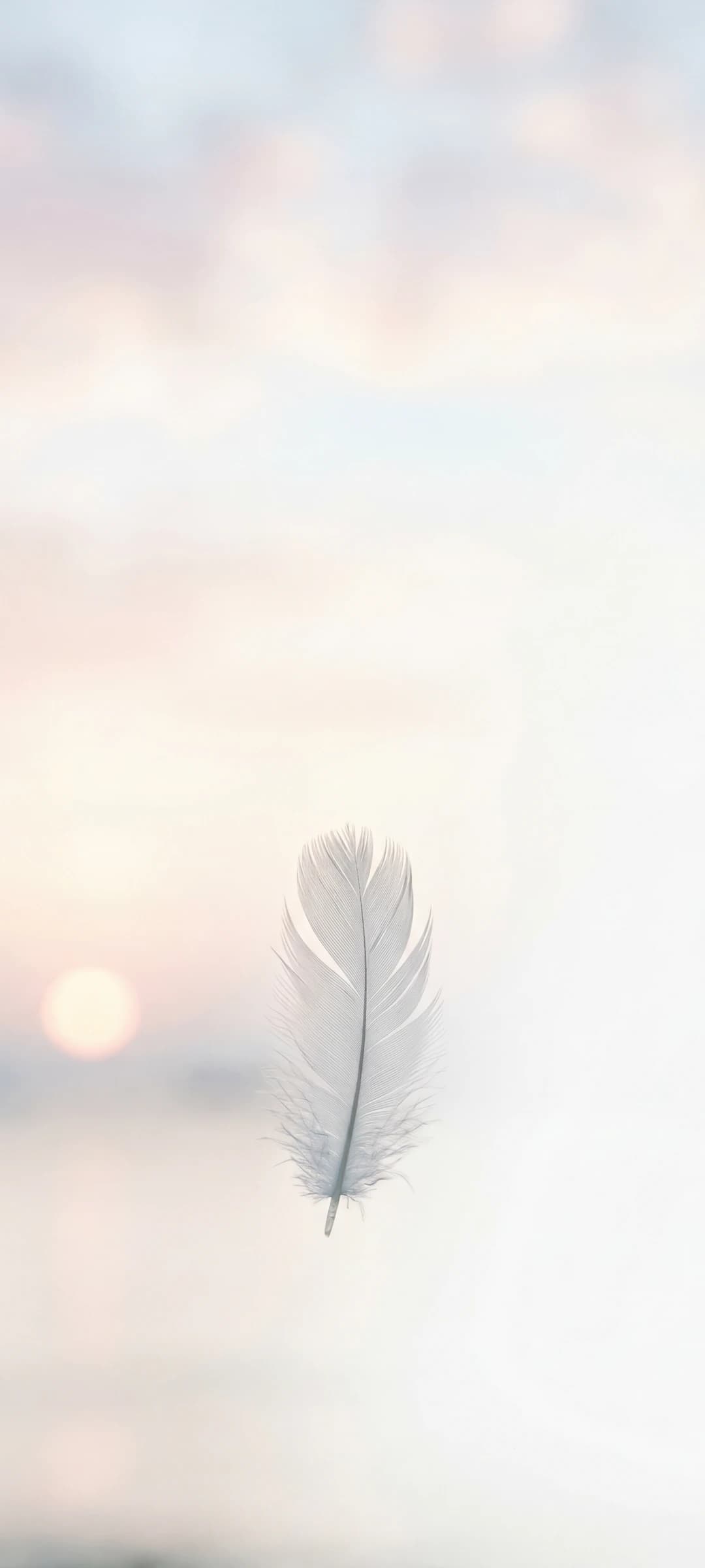 Soft Dawn Minimalism